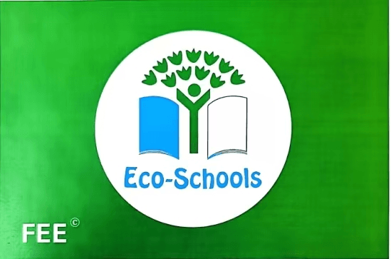 北京大兴八小获国际生态学校绿旗荣誉 成区域首个碳中和试点学校