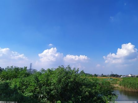 中电联：未来电煤消耗难有增长 贸易商需要抓紧出货