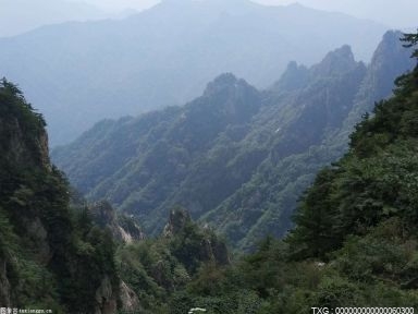 重磅！西气东输四线天然气管道工程正式开工