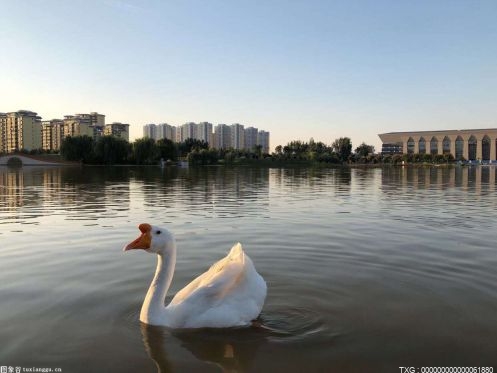土耳其：加速推进黑海天然气管道铺设工作