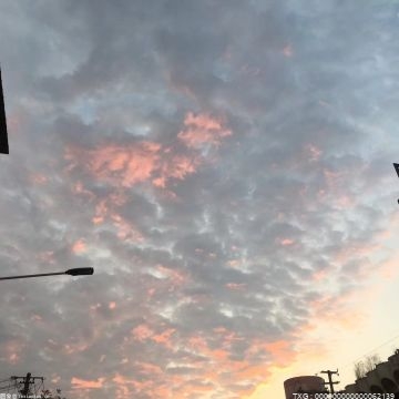 “双碳”战略下 光伏产业迎来新一轮爆发式增长！