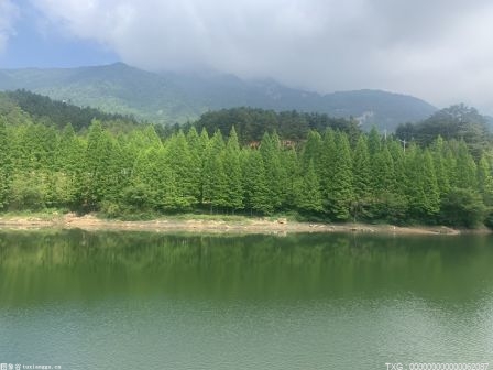全球首台！浙江台州大陈岛定制化机组改造项目并网交付