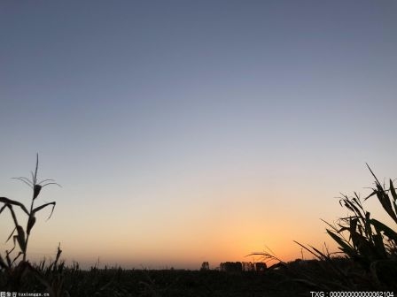 “驭风计划”重蹈其覆辙？“风电下乡”该如何推进？