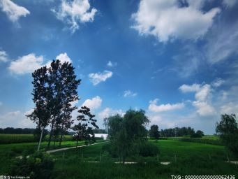 电动汽车“充电难”？住建部公开征求意见