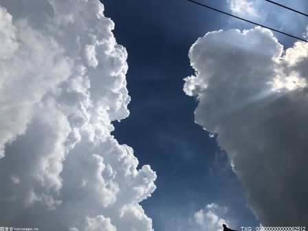 一辆公路汽车变身一架飞机 你想象过这样的场景吗？