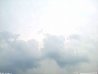 “双碳”行动提速！准能集团探索煤炭清洁高效利用新路径