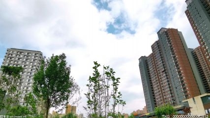 【关注】灵活就业成年轻人就业的新选择