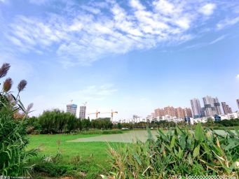 从“锦上添花”到“刚需”！智能网联汽车产业多点开花