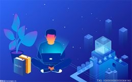 什么是seo？主要优化哪些内容？